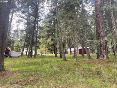 Wallowa Lake Lot For Sale in Wallowalake Oregon