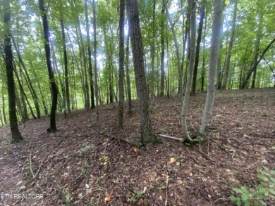 Norris Lake Lot For Sale in Jacksboro Tennessee