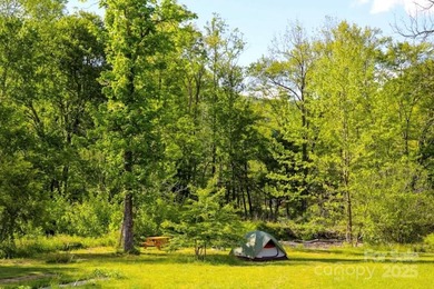 Lake Acreage For Sale in Black Mountain, North Carolina