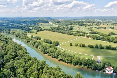 An exceptional offering of 6 +/- acres available in 2 tracts - photo 7