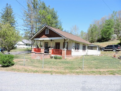(private lake, pond, coastal) Home For Sale in Weaverville North Carolina