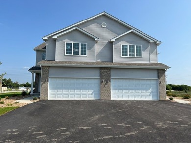 (private lake, pond, creek) Townhome/Townhouse Active Under Contract in New Lenox Illinois