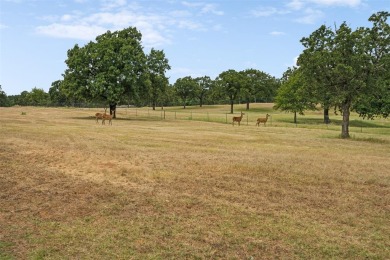 (private lake, pond, creek) Acreage For Sale in Decatur Texas