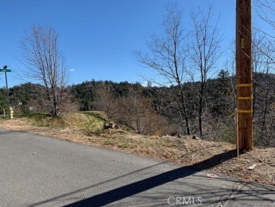 Lake Arrowhead Lot For Sale in Lake Arrowhead California