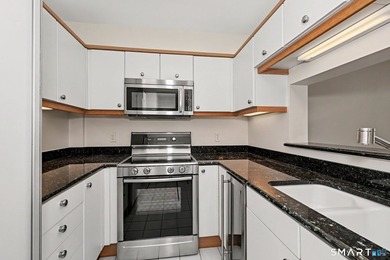Welcome to 43 Harbor Drive in beautiful Shippan, where coastal - photo 10