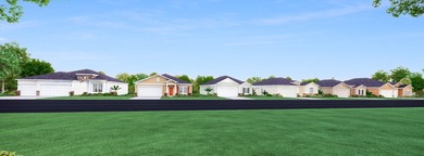 (private lake, pond, creek) Home For Sale in Ocala Florida