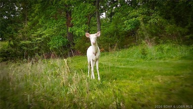 Peaceful Valley Ranch offers 48+/- acres in Morgan County near - photo 26