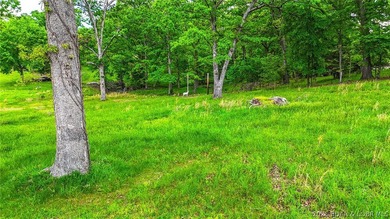 Peaceful Valley Ranch offers 48+/- acres in Morgan County near - photo 29