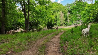Peaceful Valley Ranch offers 48+/- acres in Morgan County near - photo 30