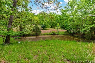 Peaceful Valley Ranch offers 48+/- acres in Morgan County near - photo 44