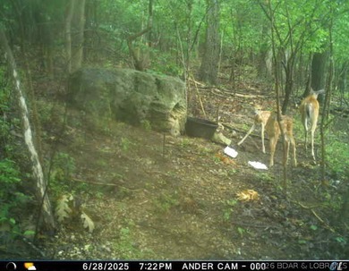 Peaceful Valley Ranch offers 48+/- acres in Morgan County near - photo 46