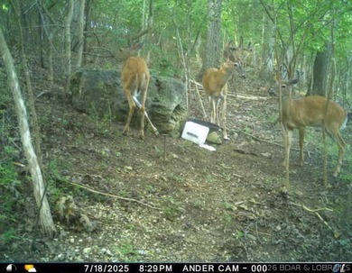 Peaceful Valley Ranch offers 48+/- acres in Morgan County near - photo 50