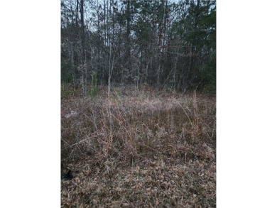 Lake Lot For Sale in Elmore, Alabama