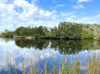 ISLAND READY FOR DEVELOPMENT - 6.4 Acres- Approved for 87 units - photo 30