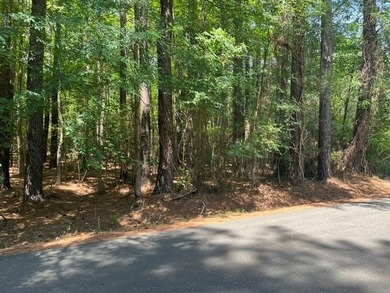 Build your dream home in the highly sought-after Merifield Acres - photo 1
