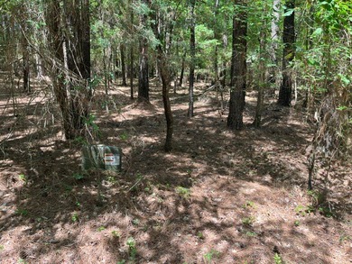 Build your dream home in the highly sought-after Merifield Acres - photo 2