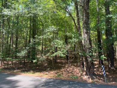 Build your dream home in the highly sought-after Merifield Acres - photo 3