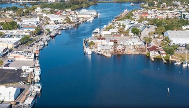 ISLAND READY FOR DEVELOPMENT - 6.4 Acres- Approved for 87 units - photo 42