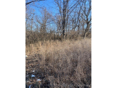 Lake of the Ozarks Lot For Sale in Lake Ozark Missouri