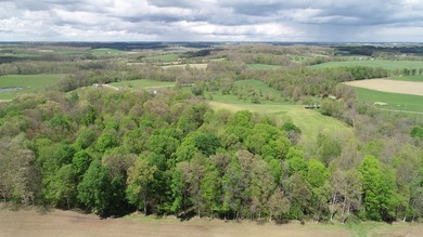 176 Acres of prime farmland and hunter's paradise in Southeast - photo 5