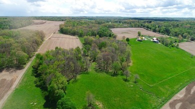 176 Acres of prime farmland and hunter's paradise in Southeast - photo 7