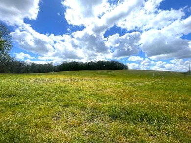 176 Acres of prime farmland and hunter's paradise in Southeast - photo 9
