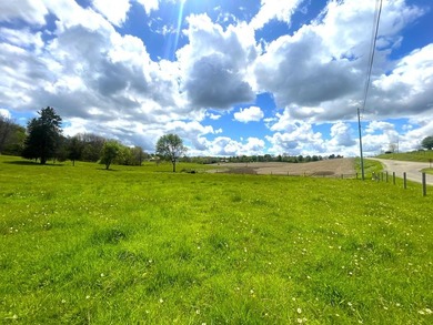 176 Acres of prime farmland and hunter's paradise in Southeast - photo 10