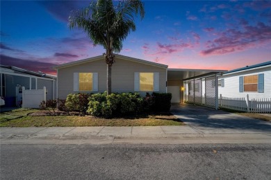 Lake Home Sale Pending in Riverview, Florida