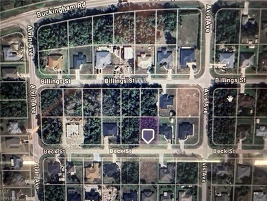 Lehigh Acres Area Lot For Sale in Lehigh Acres Florida