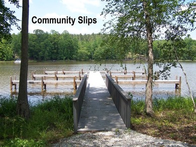 Get back to nature with this spacious 1.6-acre wooded DOCKABLE - photo 11