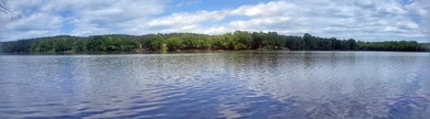 Get back to nature with this spacious 1.6-acre wooded DOCKABLE - photo 12