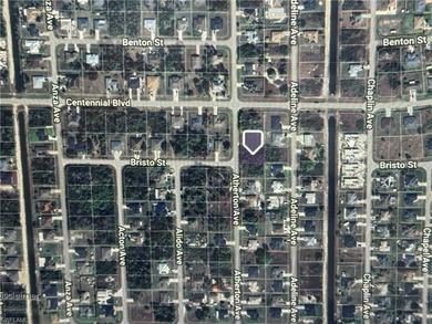 Lehigh Acres Area Lot For Sale in Lehigh Acres Florida
