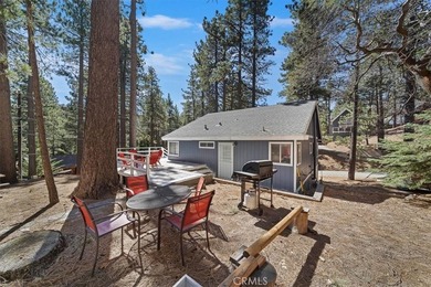 33338 Wild Rose - photo 32
