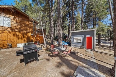 33338 Wild Rose - photo 33