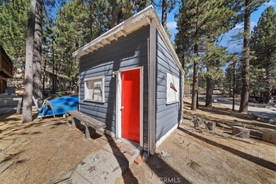 33338 Wild Rose - photo 34