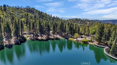 33338 Wild Rose - photo 41