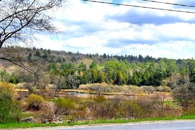 Charming renovated Farmhouse with views of the Sacandaga - photo 2