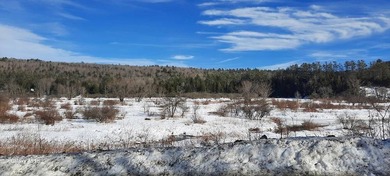Charming renovated Farmhouse with views of the Sacandaga - photo 5