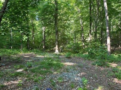 #73520-Rugged Retreat!! Thinking of a perfect spot for a tiny - photo 8