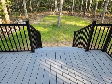 Come experience this brand-new contemporary Colonial on Sebago - photo 8