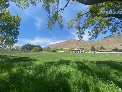 Utah Lake Acreage For Sale in Springville Utah