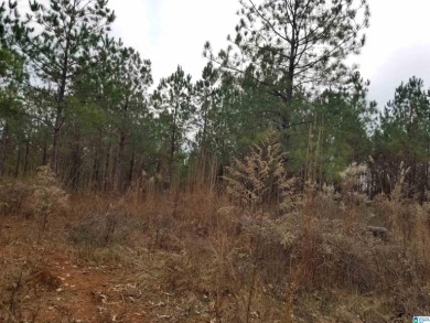 Lake Acreage Off Market in Talladega, Alabama