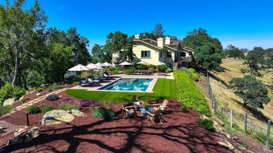 Discover Your Napa Valley Penthouse Adventure offering privacy - photo 48