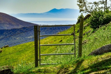 Discover Your Napa Valley Penthouse Adventure offering privacy - photo 50