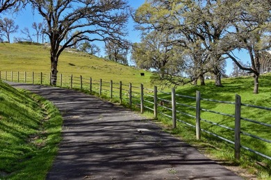 Discover Your Napa Valley Penthouse Adventure offering privacy - photo 53