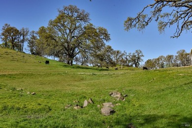 Discover Your Napa Valley Penthouse Adventure offering privacy - photo 54
