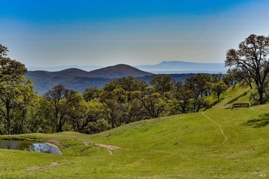 Discover Your Napa Valley Penthouse Adventure offering privacy - photo 57