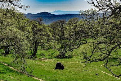 Discover Your Napa Valley Penthouse Adventure offering privacy - photo 58