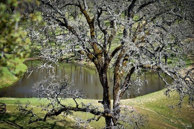 Discover Your Napa Valley Penthouse Adventure offering privacy - photo 59