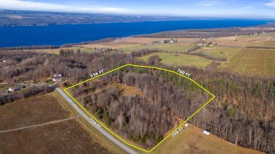 Lake Acreage Off Market in Valois, New York